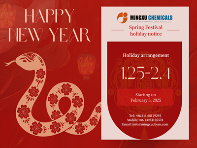 Spring Festival holiday notice